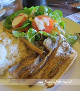 Breakfast of Fresh Baguio Green Salad, Daing na Espada and Garlic Rice