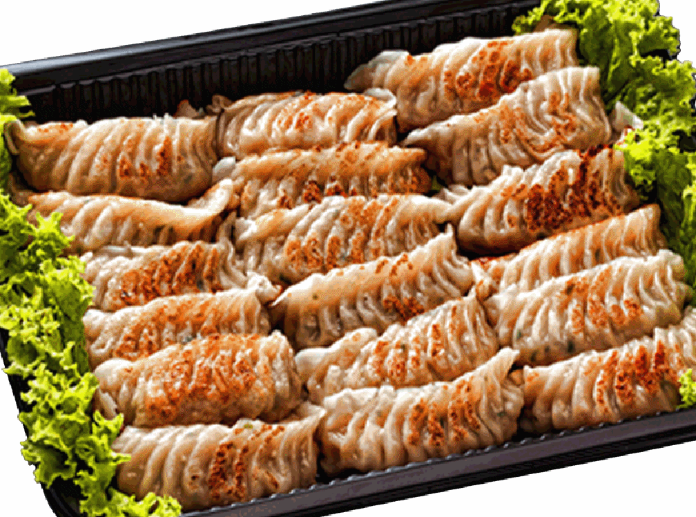 Gyoza Platter (KarateKid)