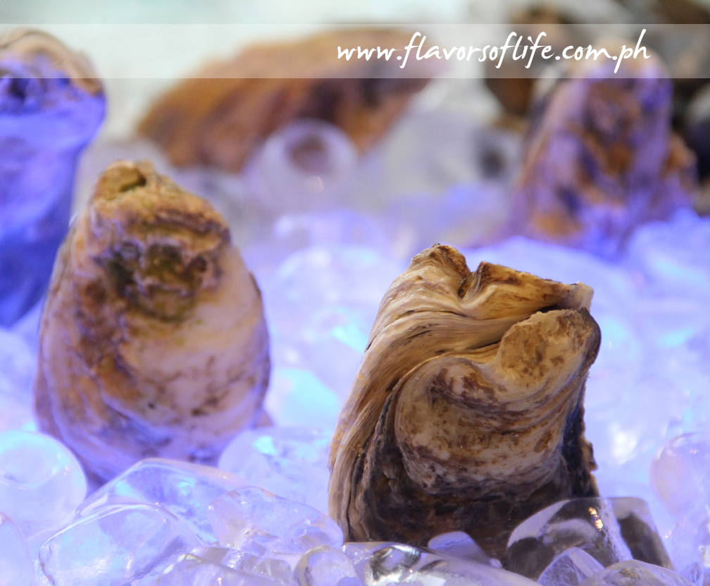 Fresh Oysters from the Raw Station